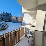Horník Žďár nad Sázavou