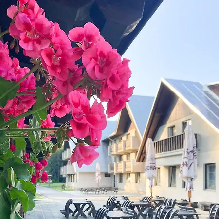 Hotel Hornik 3*