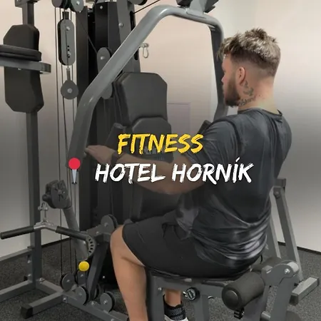 Hotel Hornik